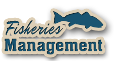 umenu icon management