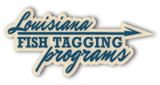 Tagging-icon
