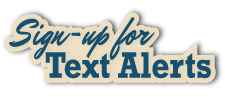 SignUp